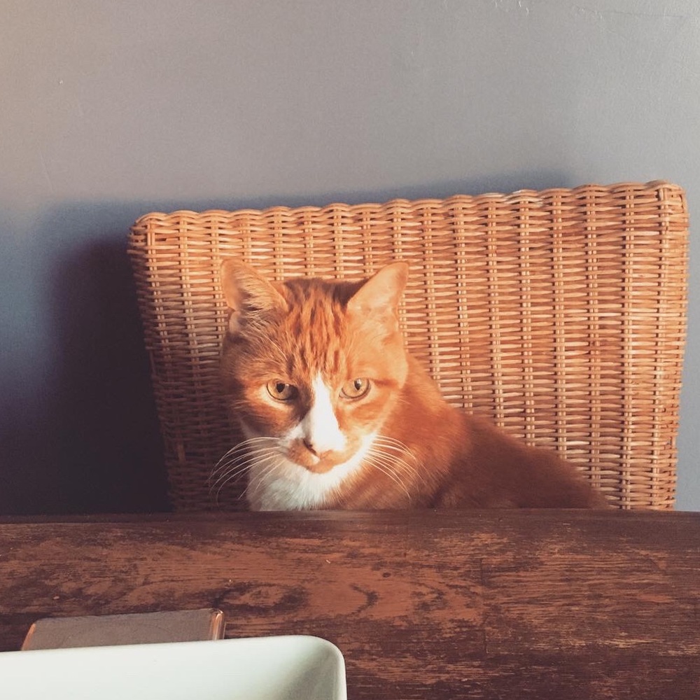 Meet your Posher, Kevin